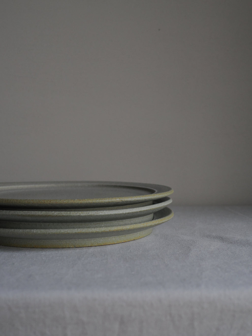 rim plate (M) A / mushimegane books.
