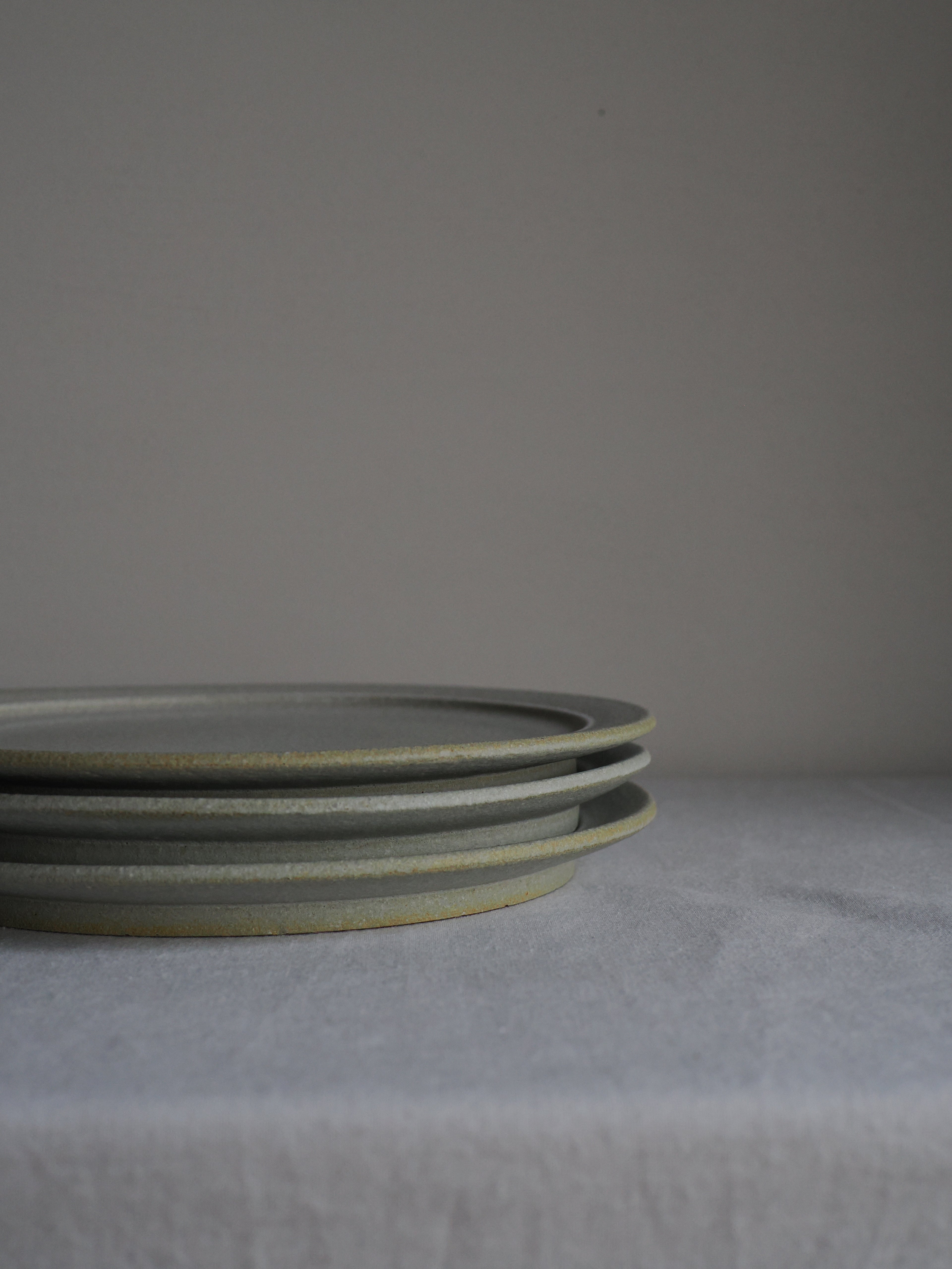rim plate (M) A / mushimegane books.