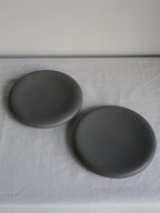 ぷっくりplate (M) G / mushimegane books.
