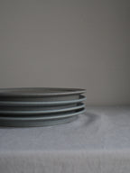 rim plate (M) D/ mushimegane books.