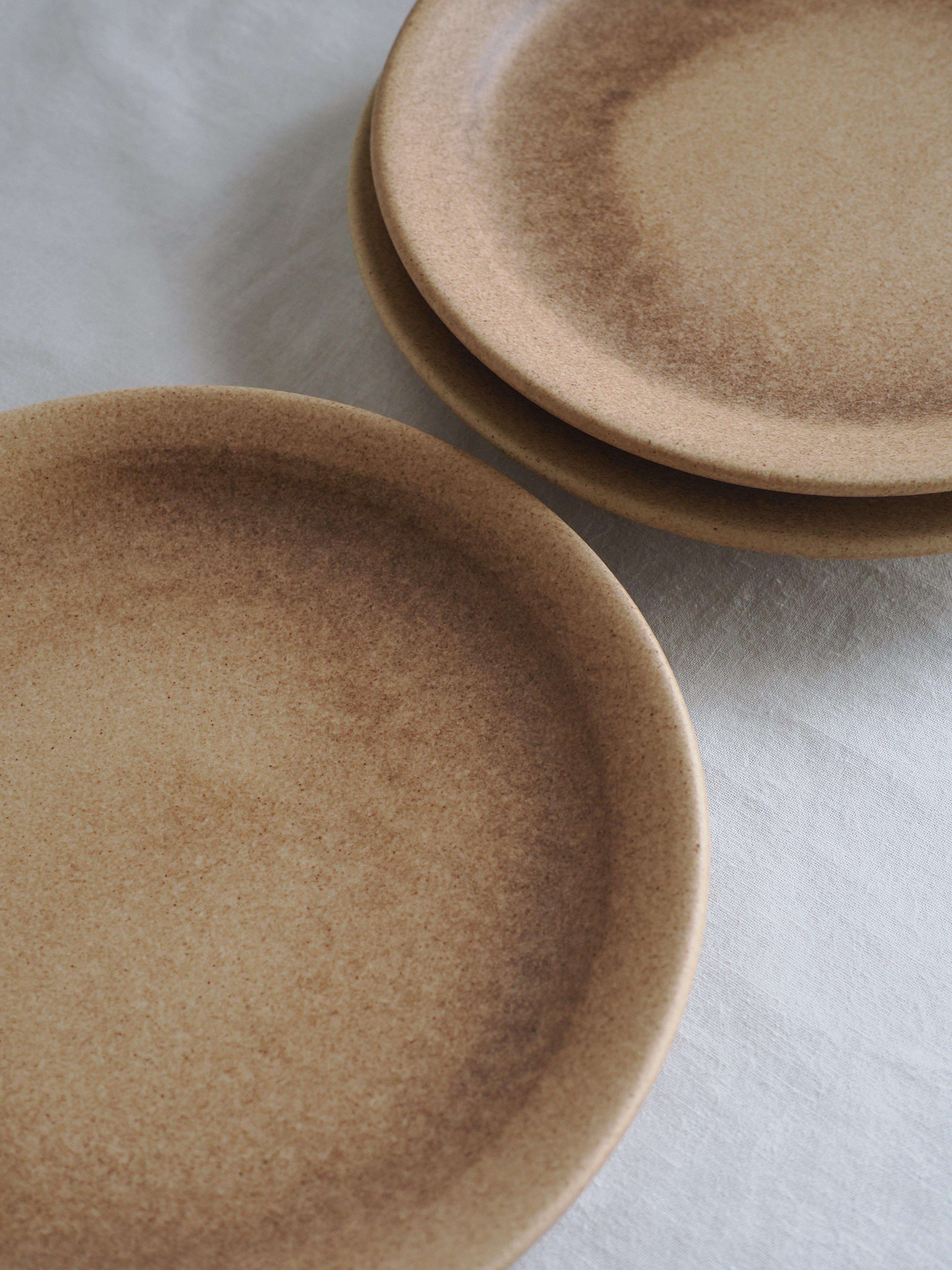 rim plate (M) F / mushimegane books.