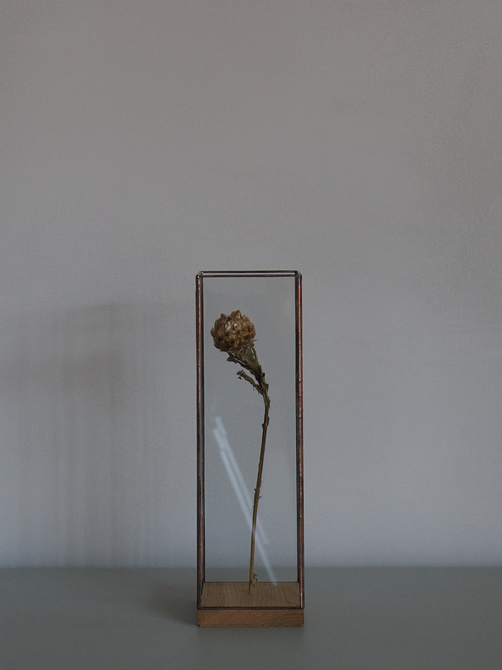 Showcase Long80 / Copper【1012terra】J