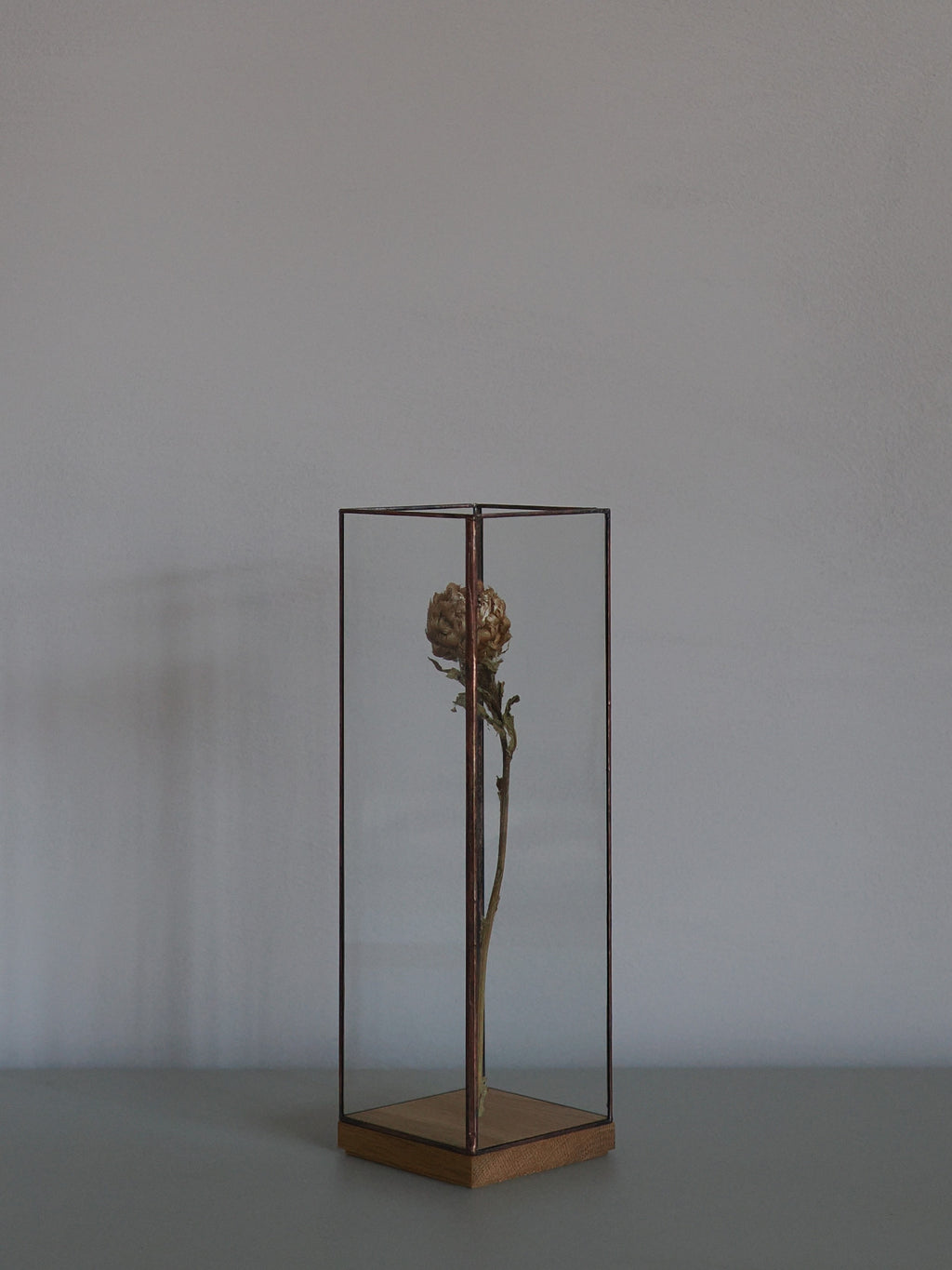 Showcase Long80 / Copper【1012terra】J