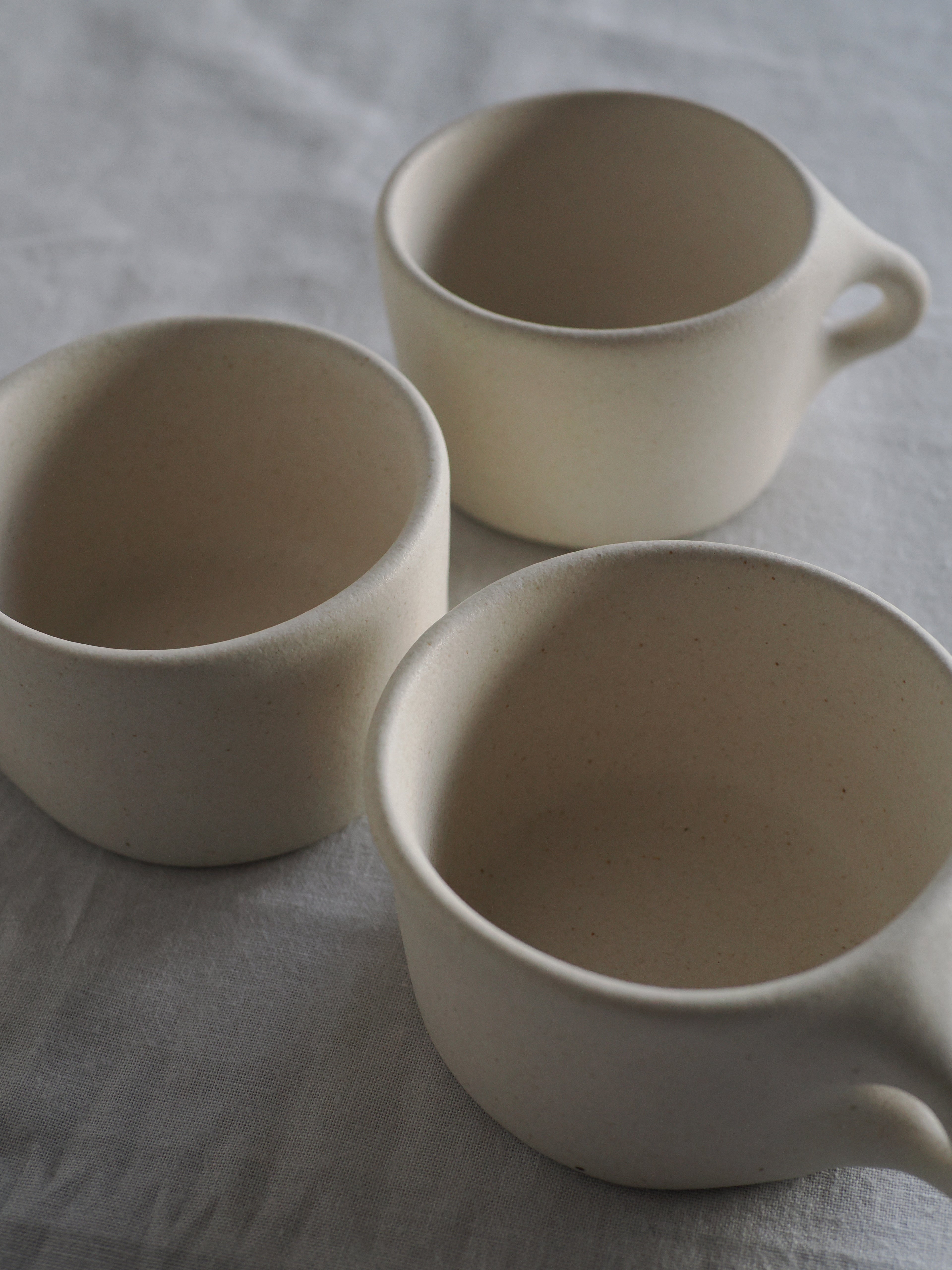 mug (S)  / mushimegane books.