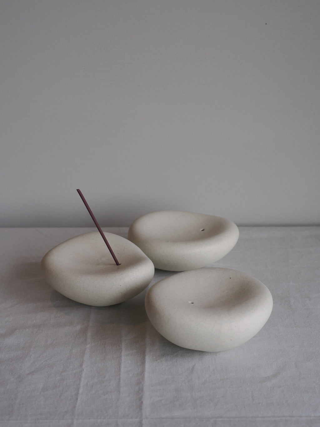 Poku-insence(L) / mushimegane books.
