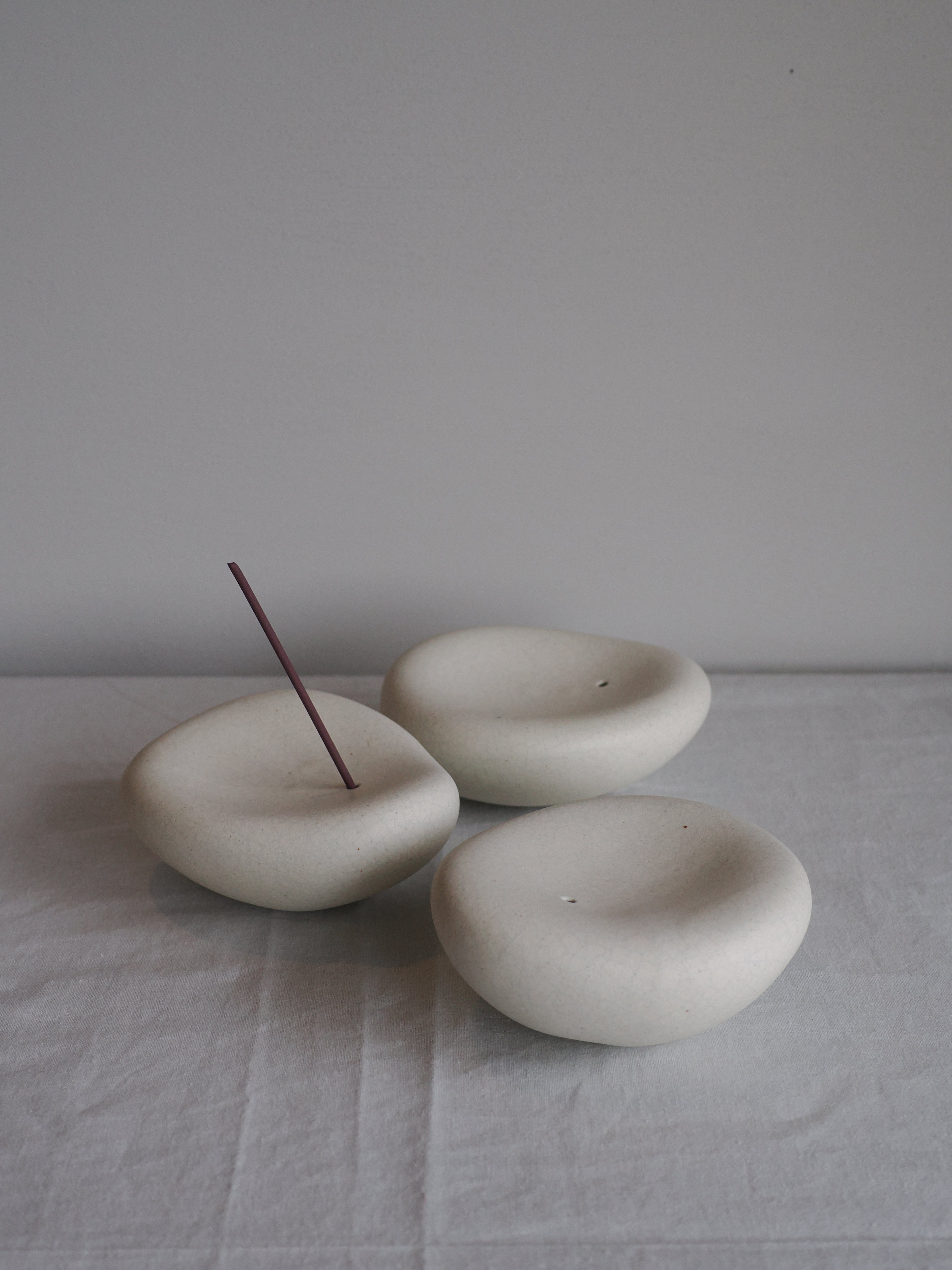 Poku-insence(L) / mushimegane books.