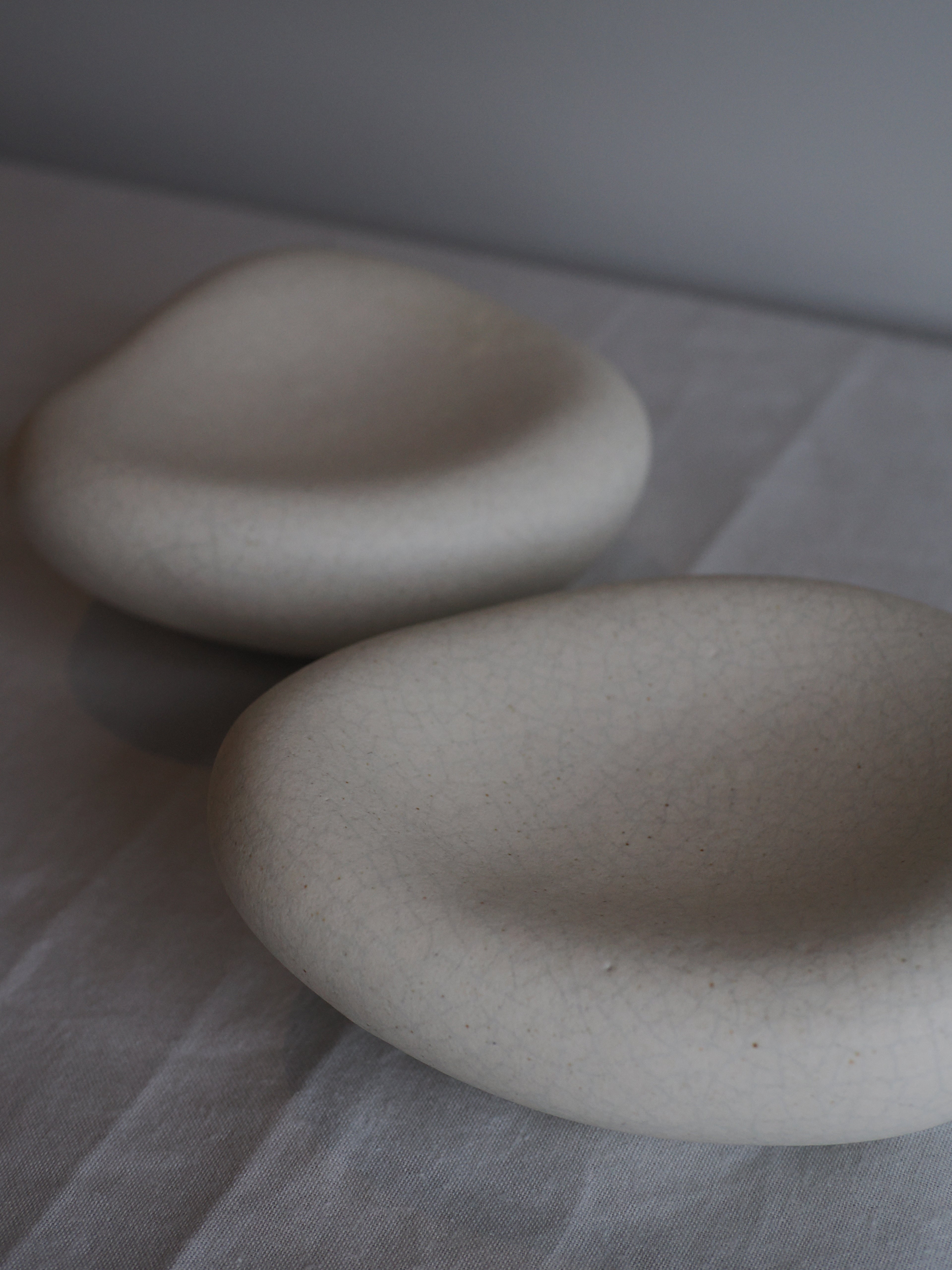 Poku (L) / mushimegane books.